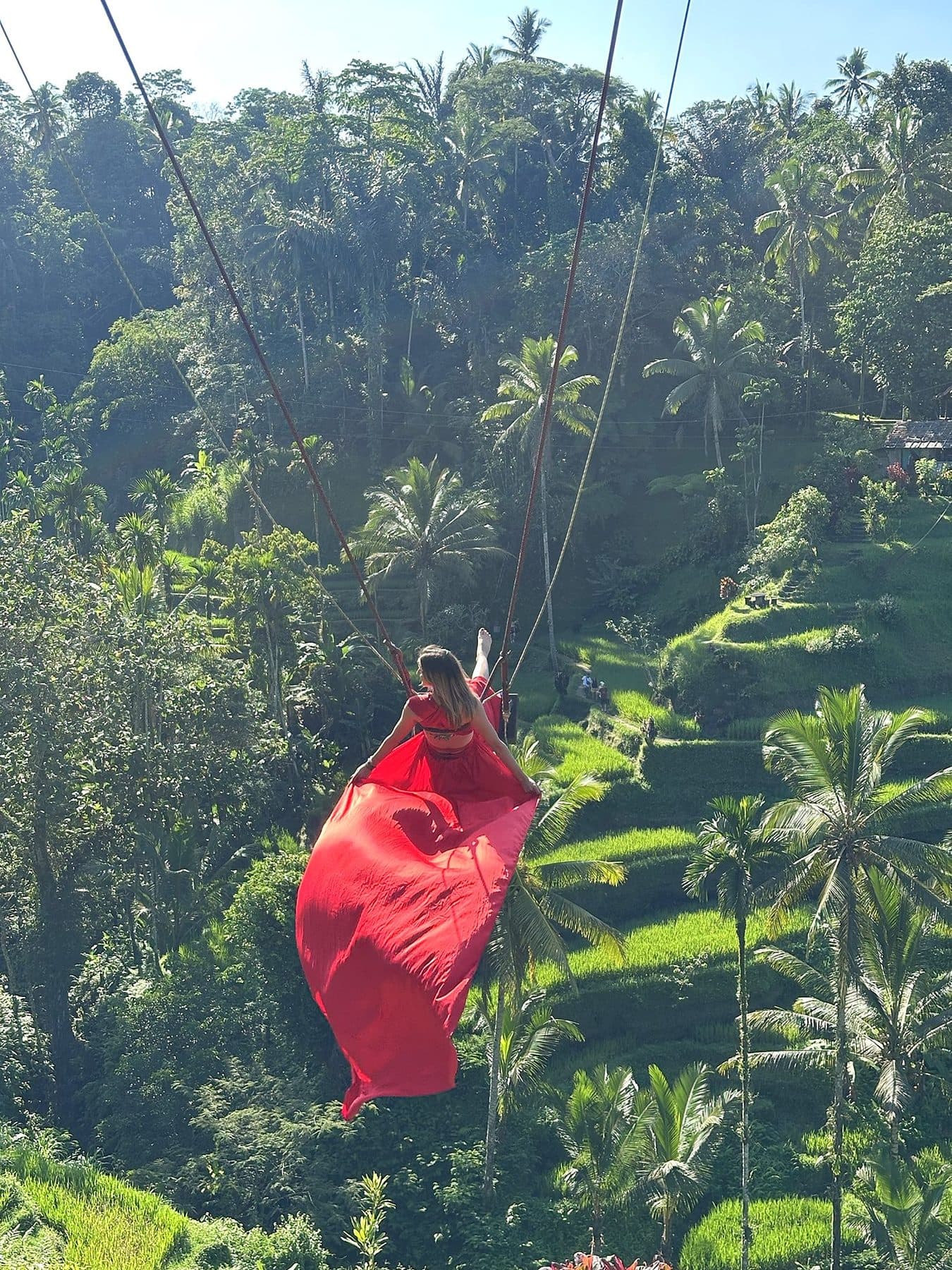 A jungle swing above the rice terraces in Bali